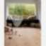 Berry Allog Les Essentiels Oak Naturel Nature Lamine Parke